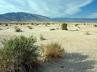 vallée de la mort  (138).JPG